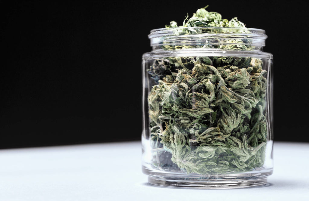 Les nombreuses vertus du CBD