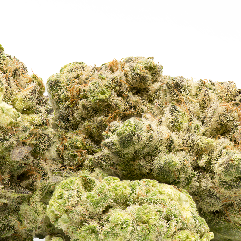 Cali Dream - Fleurs de CBD indoor CRYO