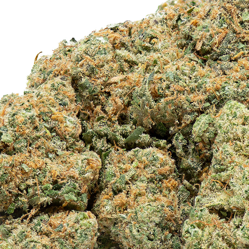 Plutonium - Fleur CBD indoor